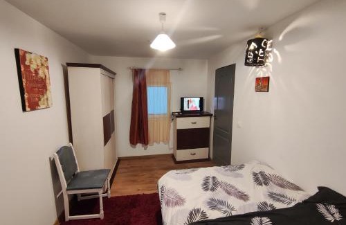 Lucieni House | Conacul Gory