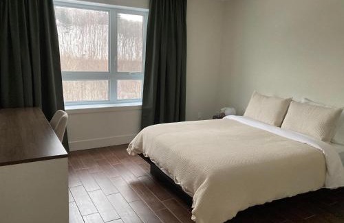 Saint-Romuald Apartment | Condo - La Suite