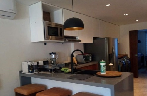 Isla Iguana Condo | CONDO ON THE MARINA VALLARTA BOARDWALK