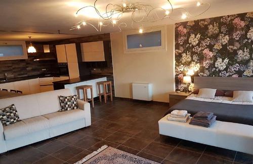 Moriondo Torinese Apartment | Confinedeisanti b&b Apartment
