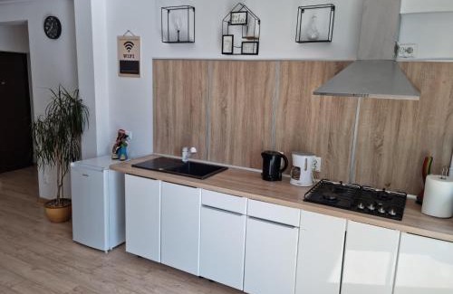 Lazaret Apartment | Confort Sibiu Residence