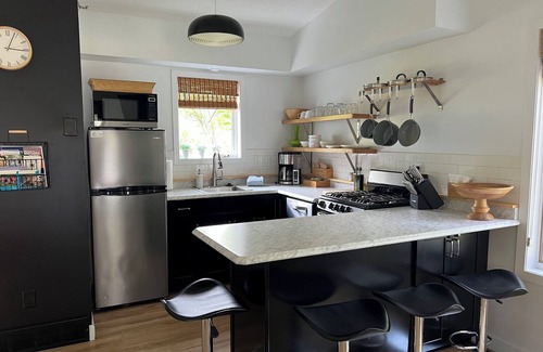 Biwabik Condo | Contemporary Condo - Updated 1-Bedroom Villa at Giants Ridge