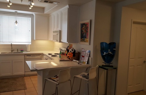 Marina District Condo | Convention or Vacation San Diego?