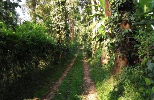 Somvarpet House | Coorg 4 C's Little Paradise