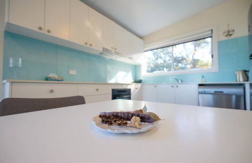 Copacabana Apartment | Copa TreeTops - “Romance Elevated Escape to the Treetops Above Copacabana Beach”