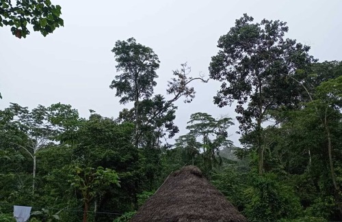Pastaza Cottage | copataza