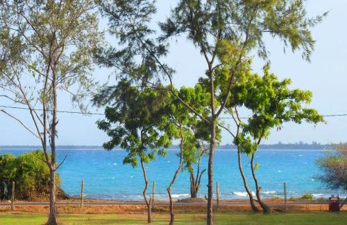 Pasikuda House | Coral Waves Inn Pasikuda