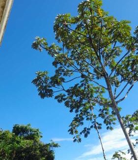 Pacuare Reserve Cabin | Corredores del Pacuare