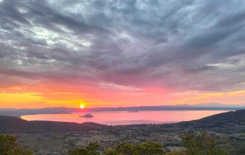 Montefiascone Apartment | Corte Sakura