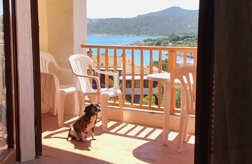 Porto Cervo Apartment | COSTA SMERALDA Porto Cervo Piccolo Pevero
