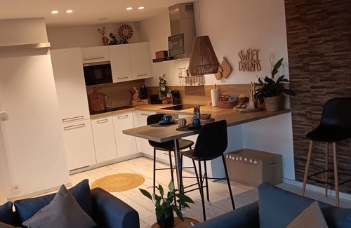 Vise Apartment | * Cosy apartment 10 minutes from Maastricht and its beautiful Meuse riverside walks