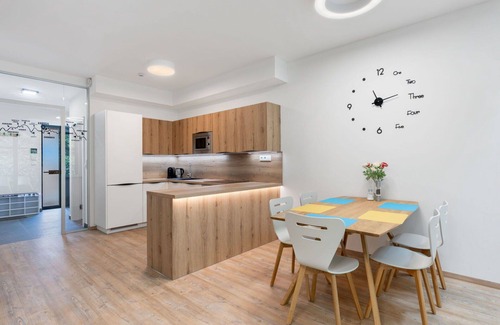 Janov nad Nisou Apartment | Cosy apartment for 6 guests with WIFI, TV, terrace and parking