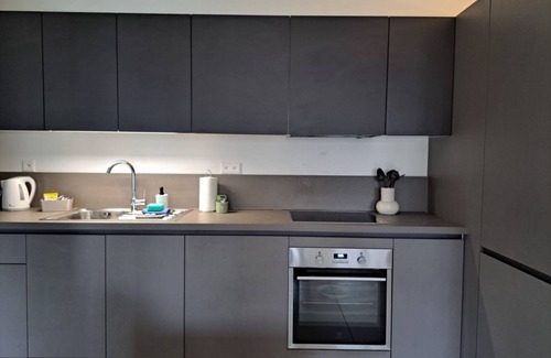 Viganello Apartment | Cosy bilo close to the centre (Urban 5)
