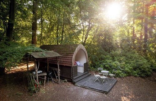 Plastow Green RV Rental | Cosy Daisy Glamping pod in secluded woodland setting