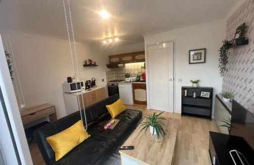 Island Gardens Apartment | Cosy Flat in London Canary Wharf, 02, 1 double bed