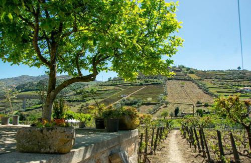Lamego House | Cosy Historical House in Lamego - Quinta do Cabo
