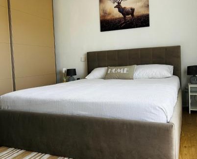 Emanoil Gojdu Apartment | Cosy Nest Deva