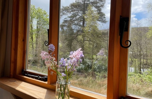 Saint John's Town of Dalry Cabin | Cosy woodland off Grid Shepherds Hut - Rowan