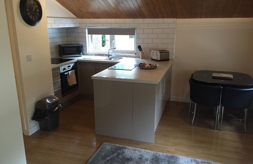 Wokingham Cabin | COSY WOODLAND SET THREE BEDROOM HOLIDAY HOMES CLOSE TO WINDSOR CASTLE