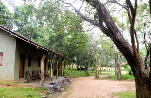 Habarana Cabin | Cottage for 2 - Eagles Wing's GuestHouse