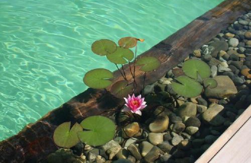 Leymen House | COTTAGE-GITE COEUR DE SUNDGAU