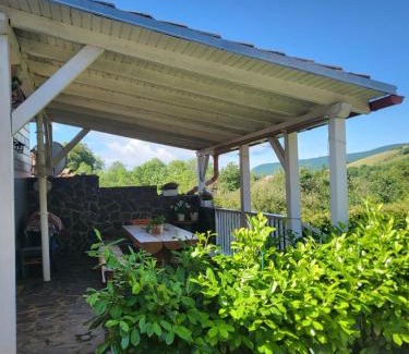 Paca House | Cottage House