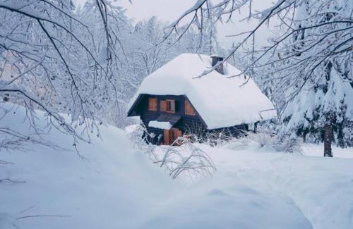 Bohinjska Bistrica House | Cottage in the woods - Lake Bohinj