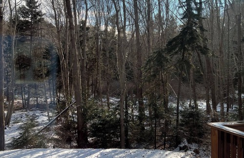 Peaks Island Cabin | Cottage in the Woods on Picturesque Island