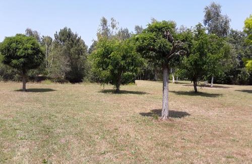 Longue-Jumelles House | Cottage La Halouère