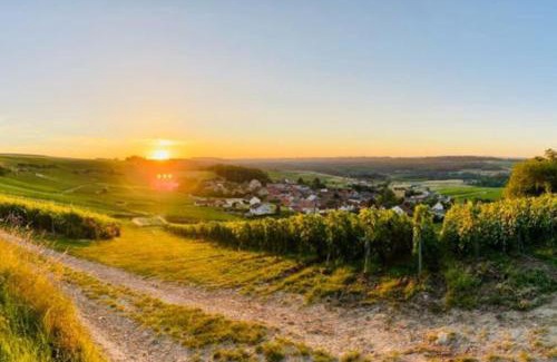 Prouilly House | Cottage, Lodge & Spa