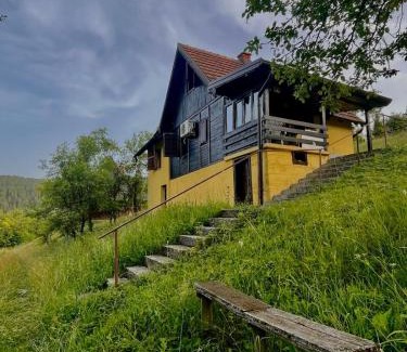 Zlatibor House | Cottage TARA, Kremna