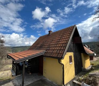 Zlatibor House | Cottage TARA, Kremna