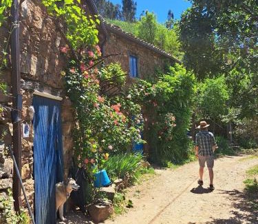 Figueiro dos Vinhos House | Cottage Vivenda Festina Lente