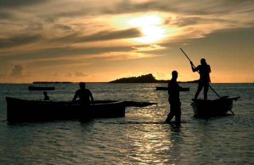 Coromandel Resort | Cotton Bay Resort & Spa
