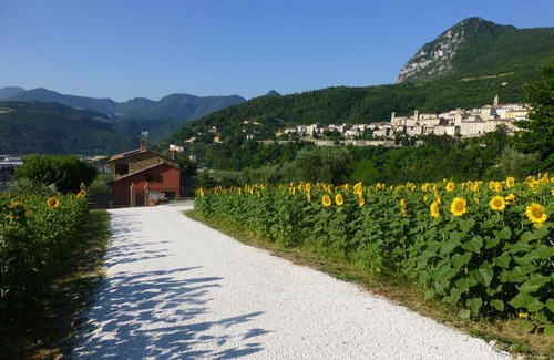 Serra San Quirico Apartment | Country House Le Grazie