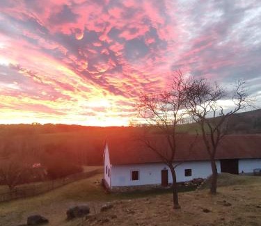 Radic House | Country house - Slapy/Pazderny