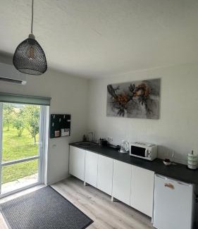 Zemgale House | COUNTRY HOUSE with sauna - Šķūnis