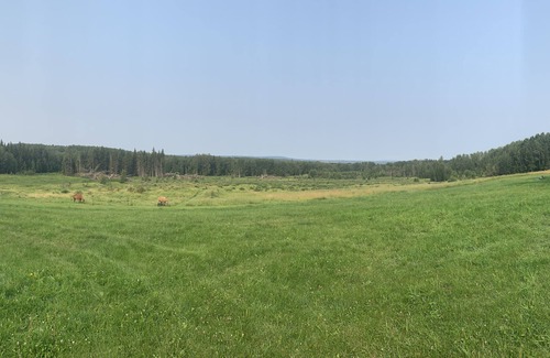 Central Alberta House | Country living