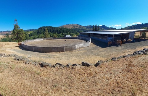 Roseburg Apartment | Cozy 1-bedrm apartment near Wildlife Safari with fitness room on the horse ranch
