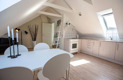 Aalborg Apartment | Cozy 1-bedroom Apartment in Aalborg