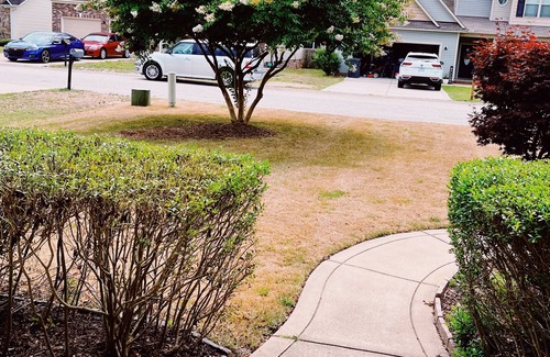 Cape Fear House | Cozy 1pvt room & bath for Traveler/Nurse 2min i95