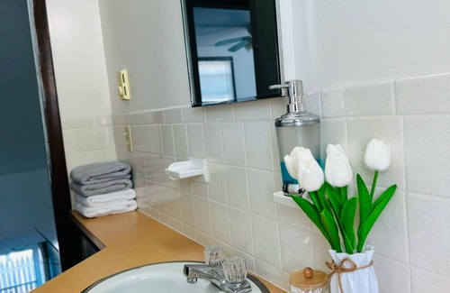 Springfield Apartment | Cozy 2-bedroom apartment,conveniently located next to major stores & boston road