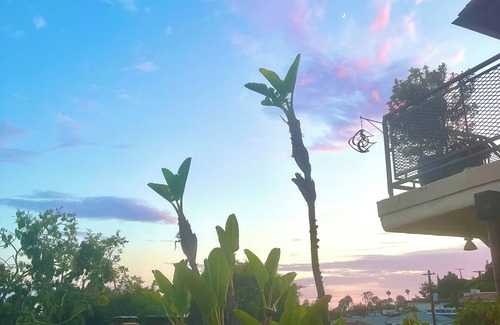Pacific Palisades Apartment | Cozy 2 Bedroom Beach Bungalow - Pacific Palisades