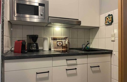 Steina Apartment | Cozy 45sqm apartment - 3 dogs welcome - WLAN incl. - ground floor - terrace