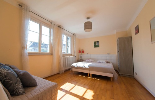 Gries House | Cozy apartment - Aux Deux Cigognes - Alsacial farm house