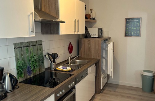 Koenigstein Apartment | cozy. Apartment, central and quiet, Saxon. Switzerland, 55sqm, family friendly, terrace