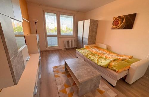 Piestany Apartment | Cozy apartment - Excellent location