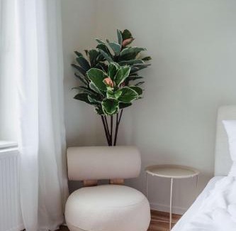 Celle House | Cozy Apartment Great Location Free Parking