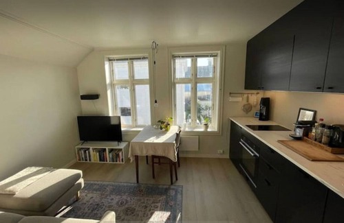 Stavanger Apartment | Cozy apartment in Stavanger city center