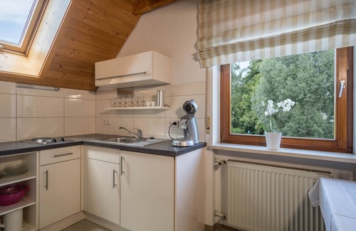 Aschach Apartment | Cozy Apartment “Konrad Schielin” with Mountain View, Wi-Fi & Balcony